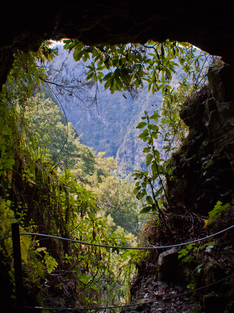 madeira-16.jpg