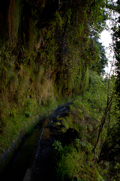 madeira-5.jpg