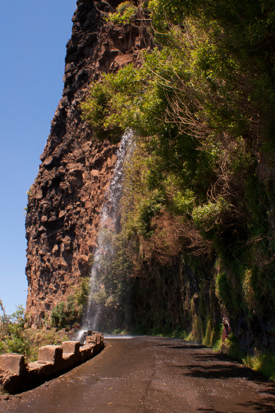 madeira-9.jpg